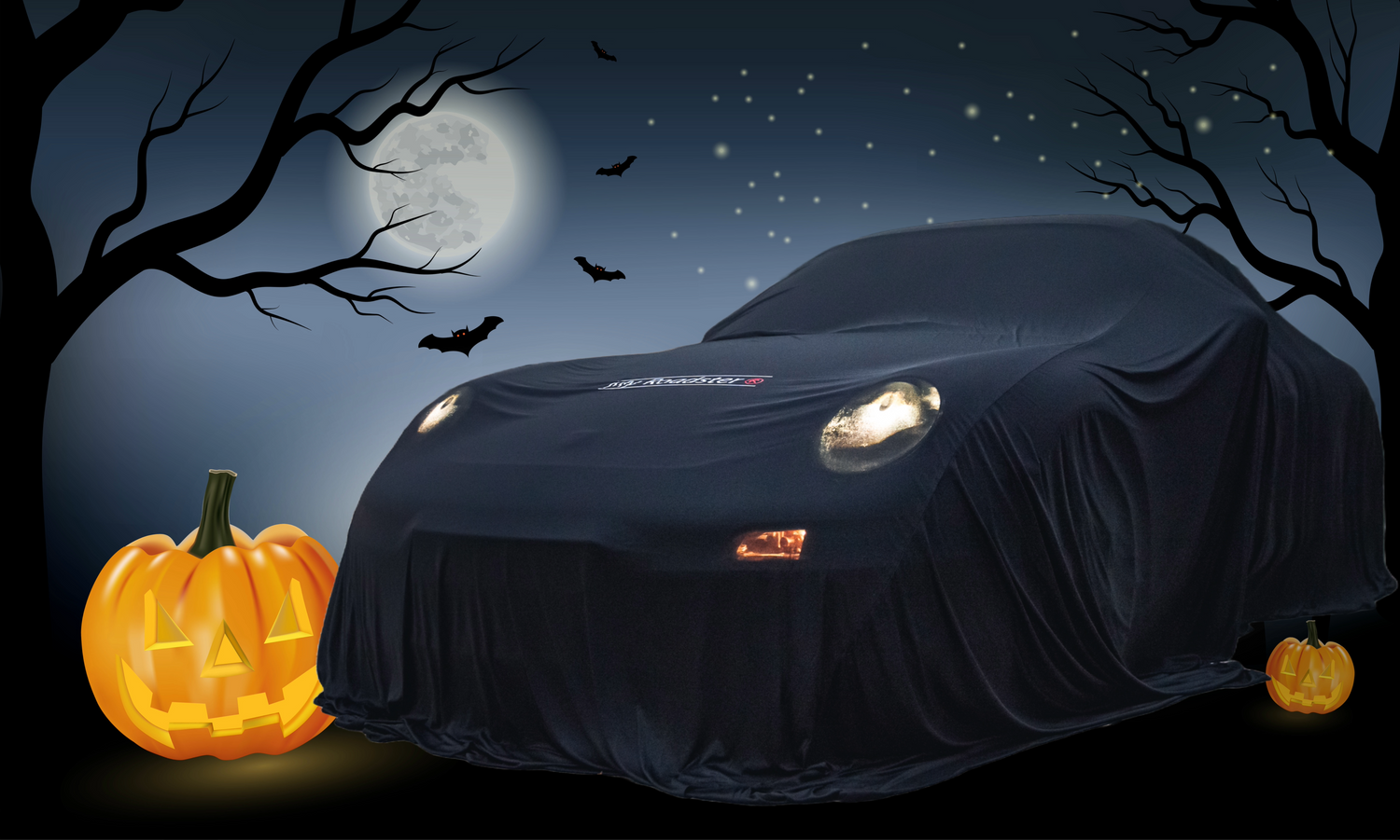 Housse de protection pour halloween